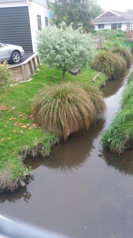 Stream View